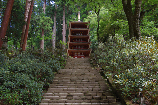 室生寺,新緑(K32_0212,F5.6,23 mm)2015yaotomi_.jpg