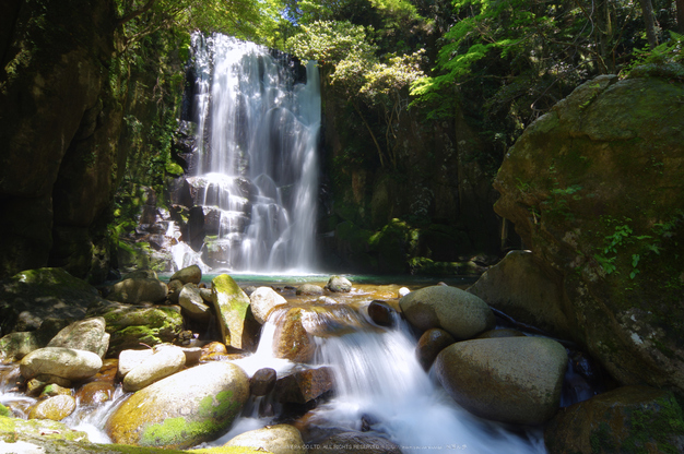 桑ノ木の滝,新緑(K32_0511,12 mm,F18)2015yaotomi.jpg