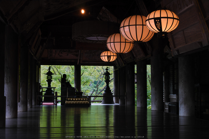 奈良,長谷寺,紫陽花(P1010269,30 mm,F7.1)2015yaotomi_.jpg