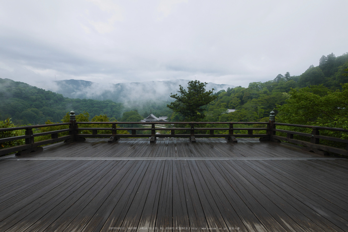 奈良,長谷寺,紫陽花(P1010273,7 mm,F9)2015yaotomi_.jpg