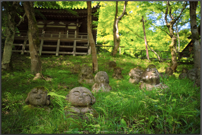 愛宕念仏寺,新緑(IMG_0394,22-mm,F2)2015yaotomi_T.jpg