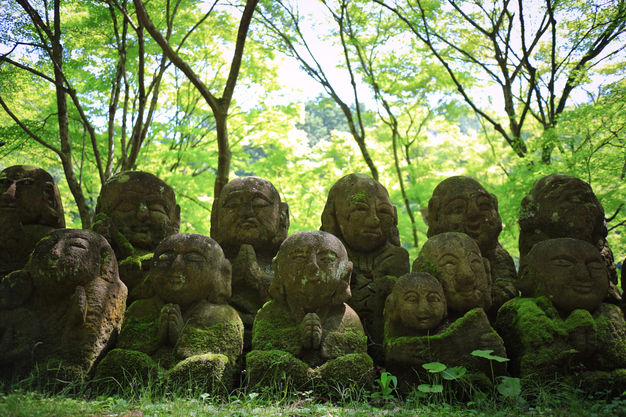 愛宕念仏寺,新緑(IMG_0404,22 mm,F2.2)2015yaotomi_.jpg