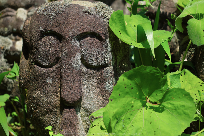 愛宕念仏寺,新緑(IMG_0413,100 mm,F2.8)2015yaotomi_.jpg