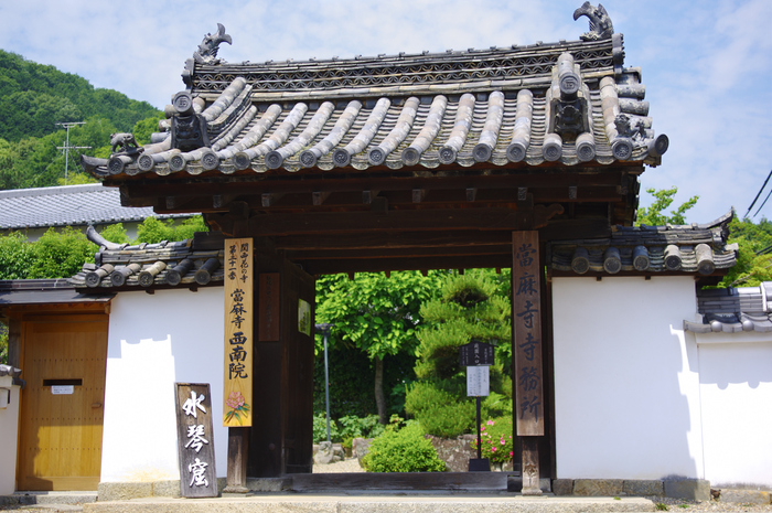 當麻寺,西南院,サツキ(K32_0568,35 mm,F2.8)2015yaotomi_.jpg