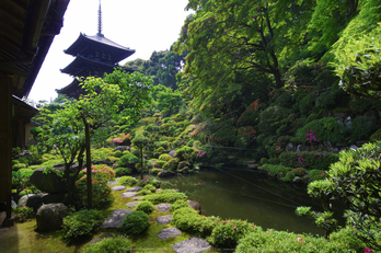 當麻寺,西南院,サツキ(K32_0574,12 mm,F9)2015yaotomi_.jpg