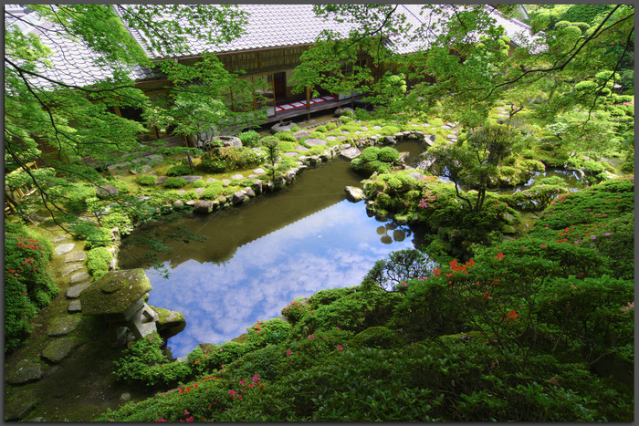 當麻寺,西南院,サツキ(K32_0587,12-mm,F9)2015yaotomi_T.jpg