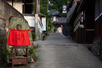 矢田寺,紫陽花(PEM10317,40 mm,F2.8)2015yaotomi_.jpg