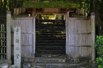 詩仙堂,さつき(K32_0354,55 mm,F1.6)2015yaotomi_.jpg