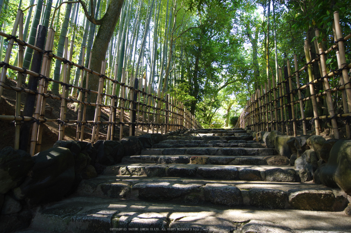 詩仙堂,さつき(K32_0356,12 mm,F10)2015yaotomi_.jpg