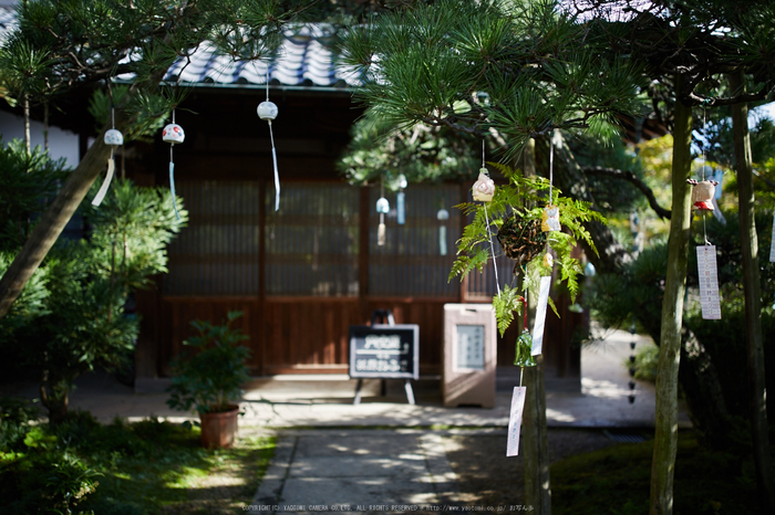 おふさ観音,風鈴(718A0672,35 mm,F2)2015yaotomi_.jpg