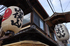 京都祇園祭,宵山(R2000067,FULL)2015yaotomi_.jpg
