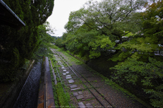 天授庵,夏の庭園(DP0Q0151,5.6,1-200 秒)2015yaotomi_.jpg