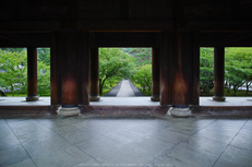 天授庵,夏の庭園(DP0Q0160,5.6,1-30 秒)2015yaotomi_.jpg