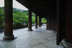 天授庵,夏の庭園(DP0Q0171,6.3,1-40 秒)2015yaotomi_.jpg