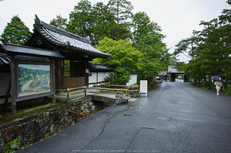 天授庵,夏の庭園(DP0Q0173,6.3,1-50 秒)2015yaotomi_.jpg