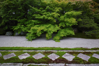 天授庵,夏の庭園(DP0Q0184,5.6,1-80 秒)2015yaotomi_.jpg