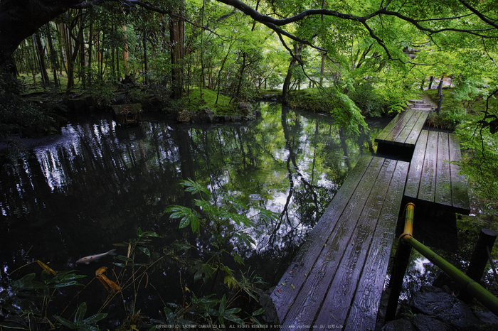 天授庵,夏の庭園(DP0Q0192b,5.6,1-15 秒)2015yaotomi_.jpg