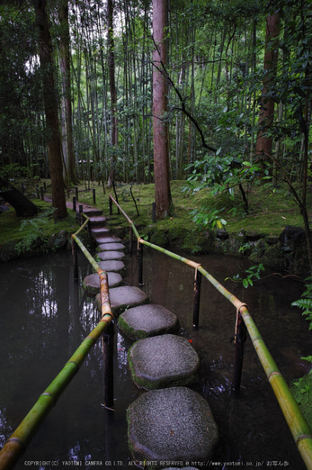 天授庵,夏の庭園(DP0Q0226,5,1-30 秒)2015yaotomi_.jpg