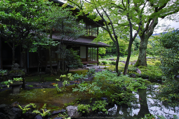 無鄰庵,夏の庭園(DP0Q0253,F6.3)2015yaotomi_.jpg