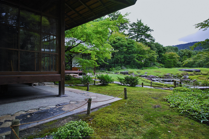 無鄰庵,夏の庭園(DP0Q0265,F6.3)2015yaotomi_.jpg