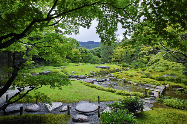 無鄰庵,夏の庭園(DP0Q0267,F6.3)2015yaotomi_.jpg