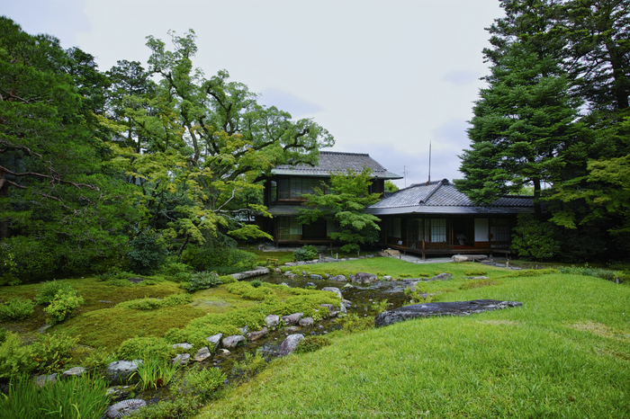 無鄰庵,夏の庭園(DP0Q0292,F5.6)2015yaotomi_.jpg