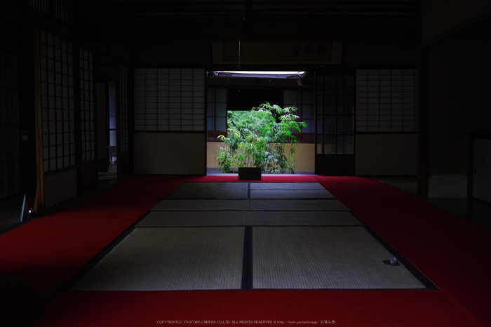 無鄰庵,夏の庭園(DP2Q0206,F2.8)2015yaotomi_.jpg