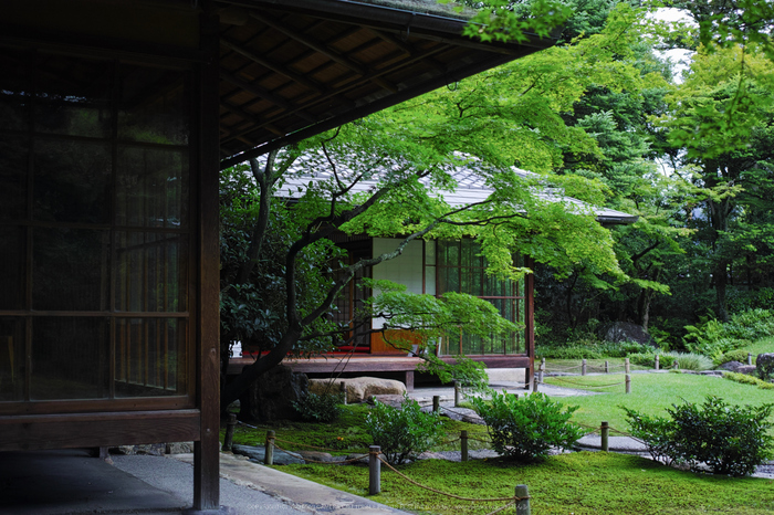 無鄰庵,夏の庭園(DP2Q0213,F2.8)2015yaotomi_.jpg