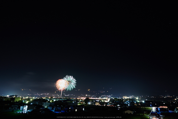 五條,吉野川花火(718A7174,24 mm,F8)2015yaotomi_.jpg