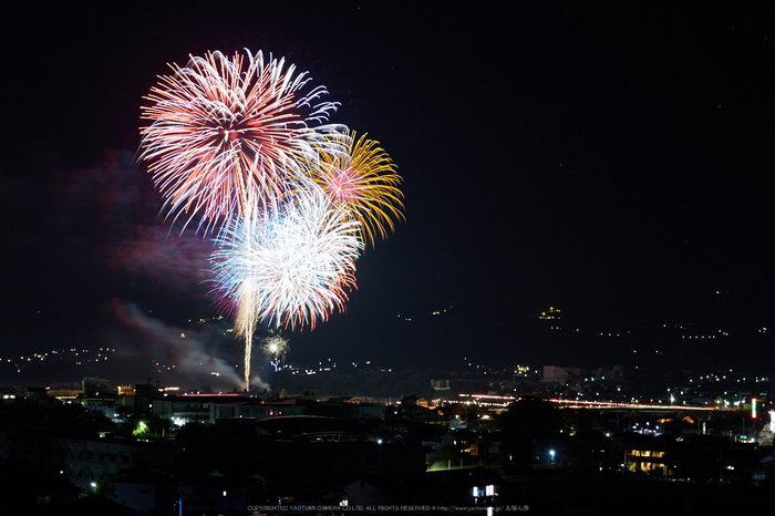 五條,吉野川花火(718A7189,G,62-mm,F10)2015yaotomi_.jpg