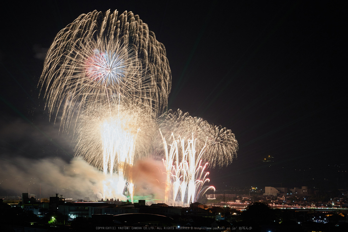 五條,吉野川花火(718A7201,G,62 mm,F10)2015yaotomi_.jpg