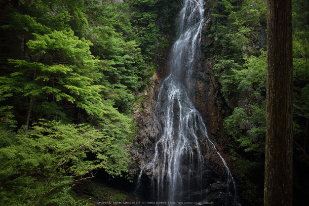 御船の滝,夏(5DS_7083,24 mm,F2)2015yaotomi_.jpg