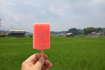 御船の滝,夏(5DS_7128,25 mm,F13)2015yaotomi_.jpg