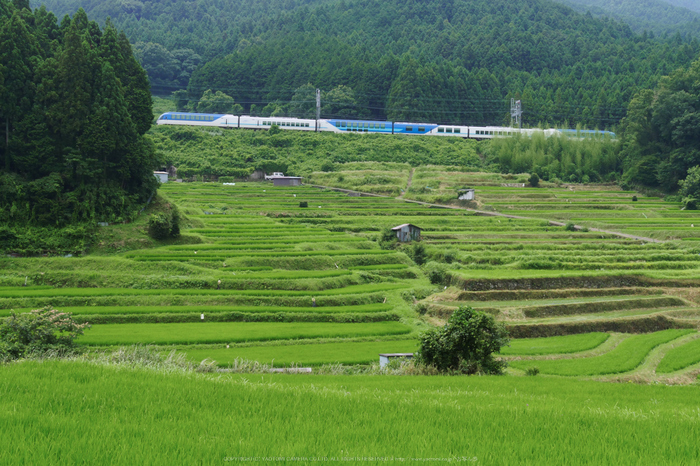 LUMIX,GX8試写_(P1000472,26 mm,F7.1,iso400)2015yaotomi_.jpg