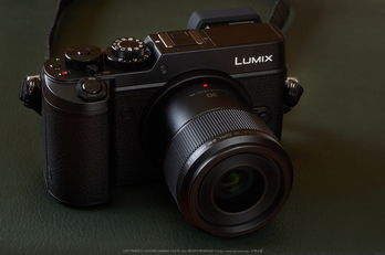 Panasonic LUMIX DMC-GX8 （β機） review vol.2 ／ 奈良 藤原宮跡の蓮