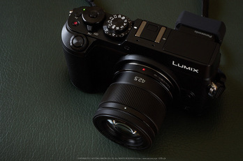 Panasonic LUMIX DMC-GX8 （β機） review vol.2 ／ 奈良 藤原宮跡の蓮