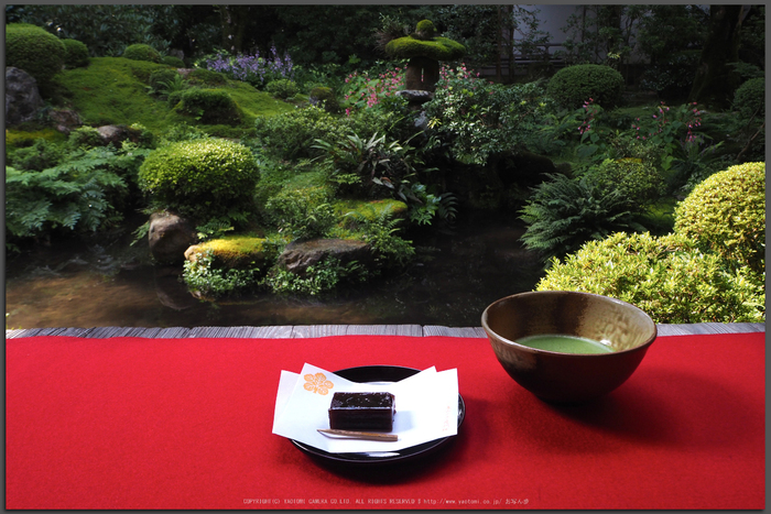 OLYMPUS OM-D E-M10 MarkII review（レビュー） vol.1 ／ 京都大原 三
