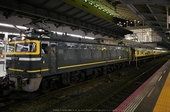 サロンカーなにわ,EF81_44,2015yaotomi_1.jpg