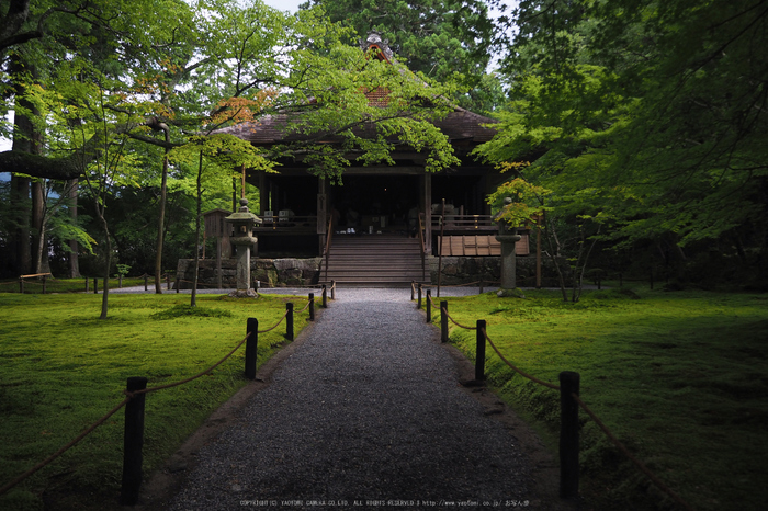 京都大原,三千院(P8220136,14 mm,F3.5,iso400)2015yaotomi_.jpg