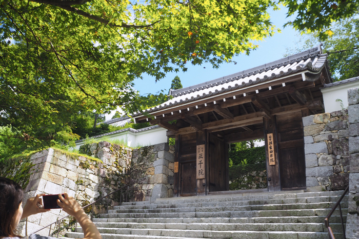 京都大原,三千院(P8220290,14 mm,F8,iso200)2015yaotomi_.jpg