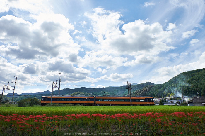 近鉄,吉野口駅(DSCF9131,16 mm,F5.6)2015yaotomi.jpg