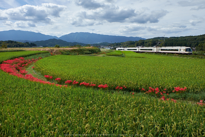 近鉄,壺阪山駅(DSCF9094,16 mm,F7.1)2015yaotomi.jpg