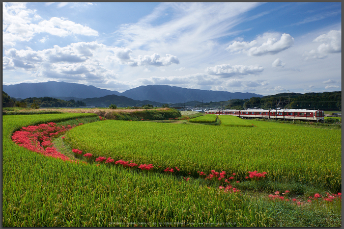 近鉄,壺阪山駅(DSCF9241,16-mm,F5.6)2015yaotomi_T.jpg