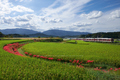 近鉄,壺阪山駅(DSCF9241_F,16 mm,F5.6)2015yaotomi.jpg