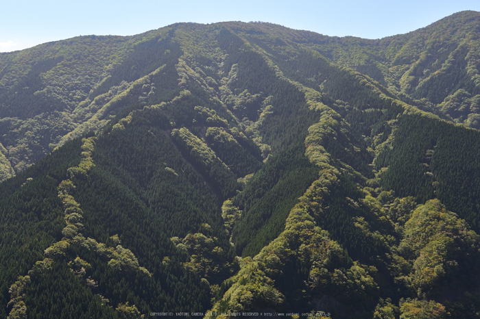 ナメゴ谷,紅葉(P1070389,25-mm)2015yaotomi_a.jpg