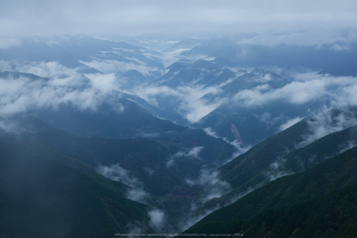 大台ヶ原,紅葉(DSCF4495,35 mm,F8,iso200)2015yaotomi_.jpg