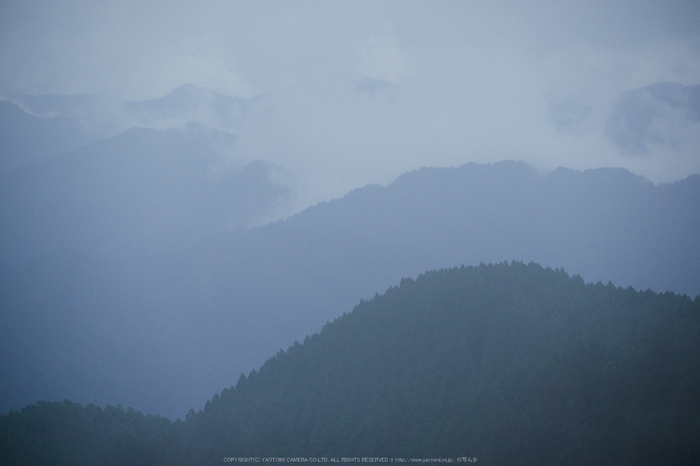 大台ヶ原,紅葉(DSCF4596,129 mm,F4,iso500)2015yaotomi_.jpg