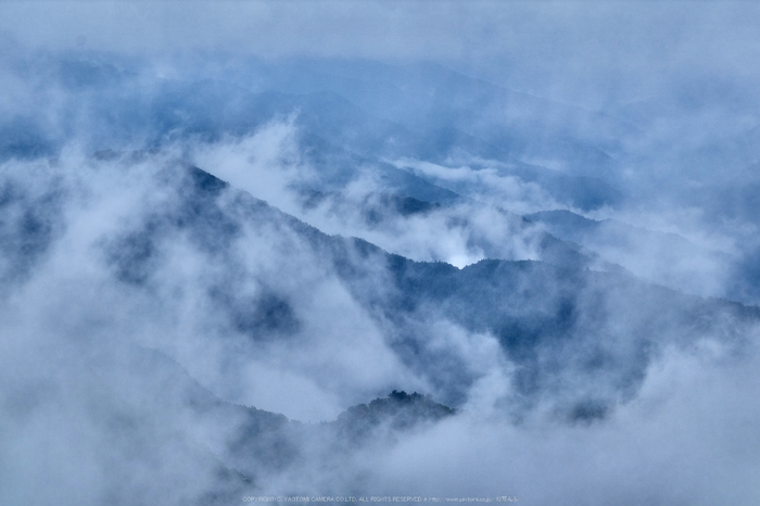 大台ヶ原,紅葉(DSCF4608,98 mm,F13,iso500)2015yaotomi_.jpg