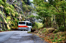 大台ヶ原,紅葉(DSCF4615fe,50 mm,F5.6,iso500)2015yaotomi_.jpg