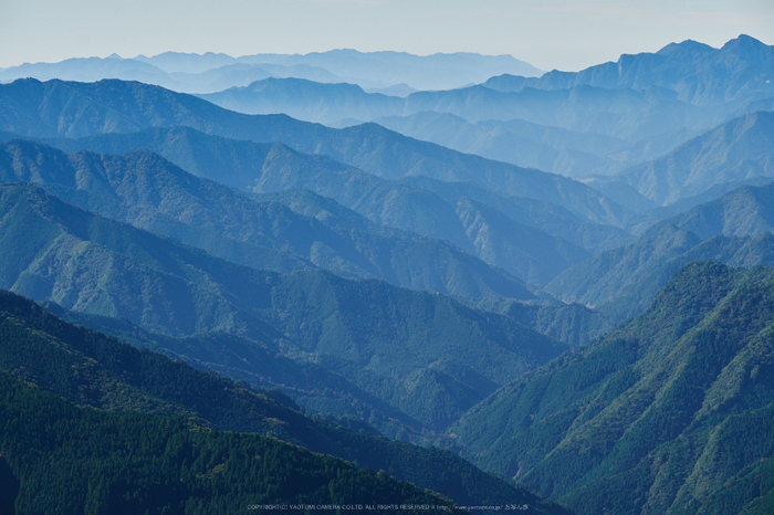 大台ヶ原,紅葉(DSCF5028,98 mm,F8)2015yaotomi_.jpg